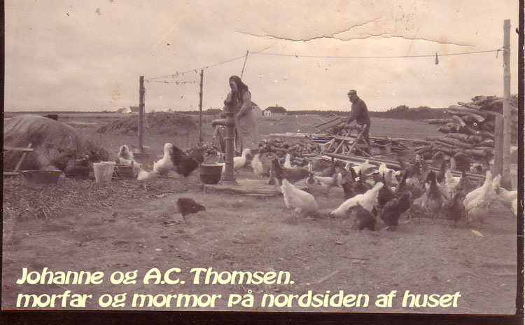 Bedste og morfar