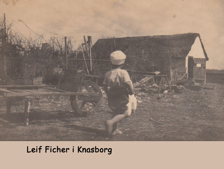 Leif -14