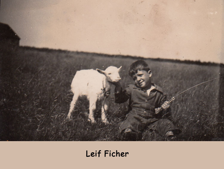 Leif-8